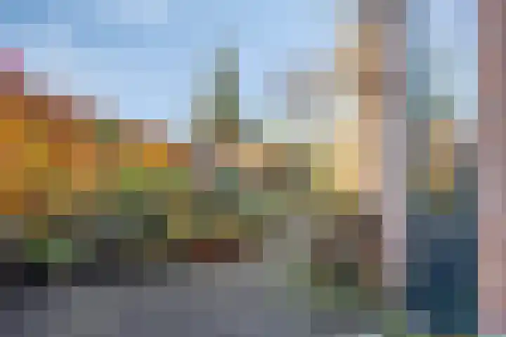 Coelhorsterappelgaarde 19 Amersfoort thumbnail 33