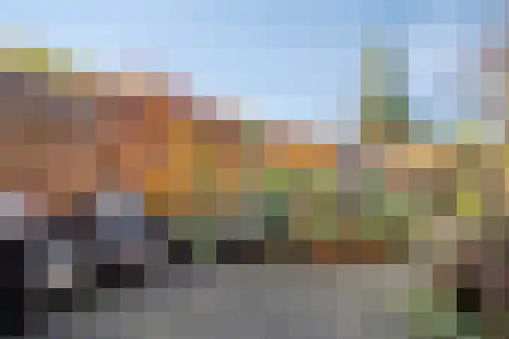 Coelhorsterappelgaarde 19 Amersfoort thumbnail 34