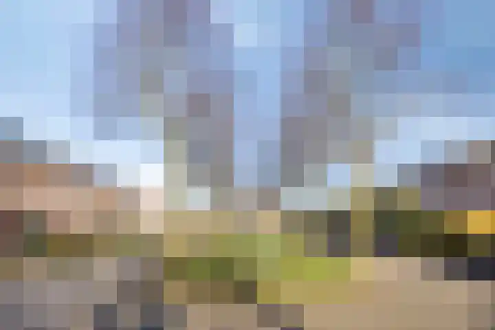 Coelhorsterappelgaarde 19 Amersfoort thumbnail 36