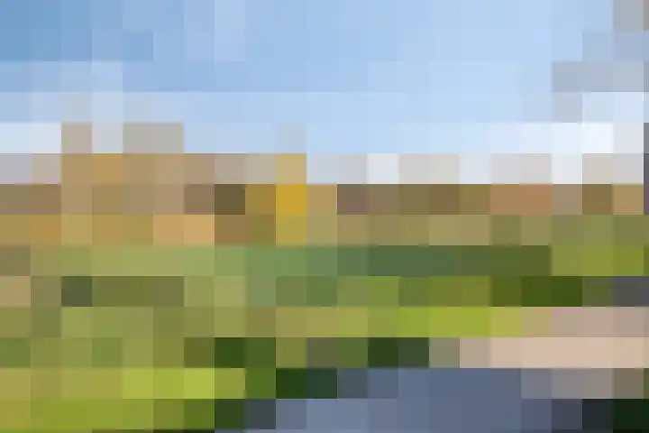 Coelhorsterappelgaarde 19 Amersfoort thumbnail 37