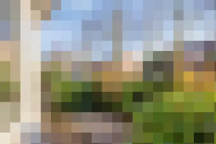 Coelhorsterappelgaarde 19 Amersfoort thumbnail 5
