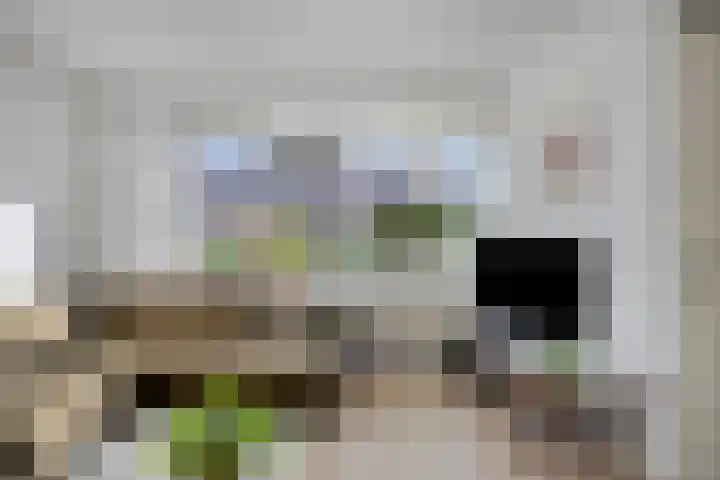 Coelhorsterappelgaarde 19 Amersfoort thumbnail 7