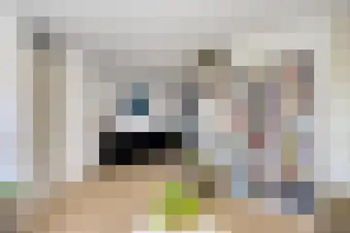 Coelhorsterappelgaarde 19 Amersfoort thumbnail 9