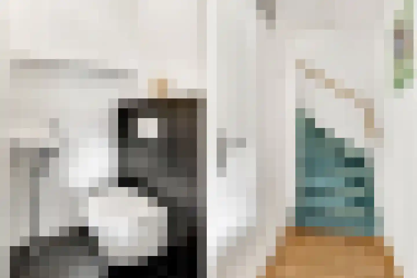 Coelhorsterappelgaarde 38 Amersfoort thumbnail 18