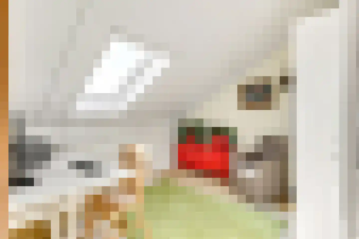Coelhorsterappelgaarde 38 Amersfoort thumbnail 31