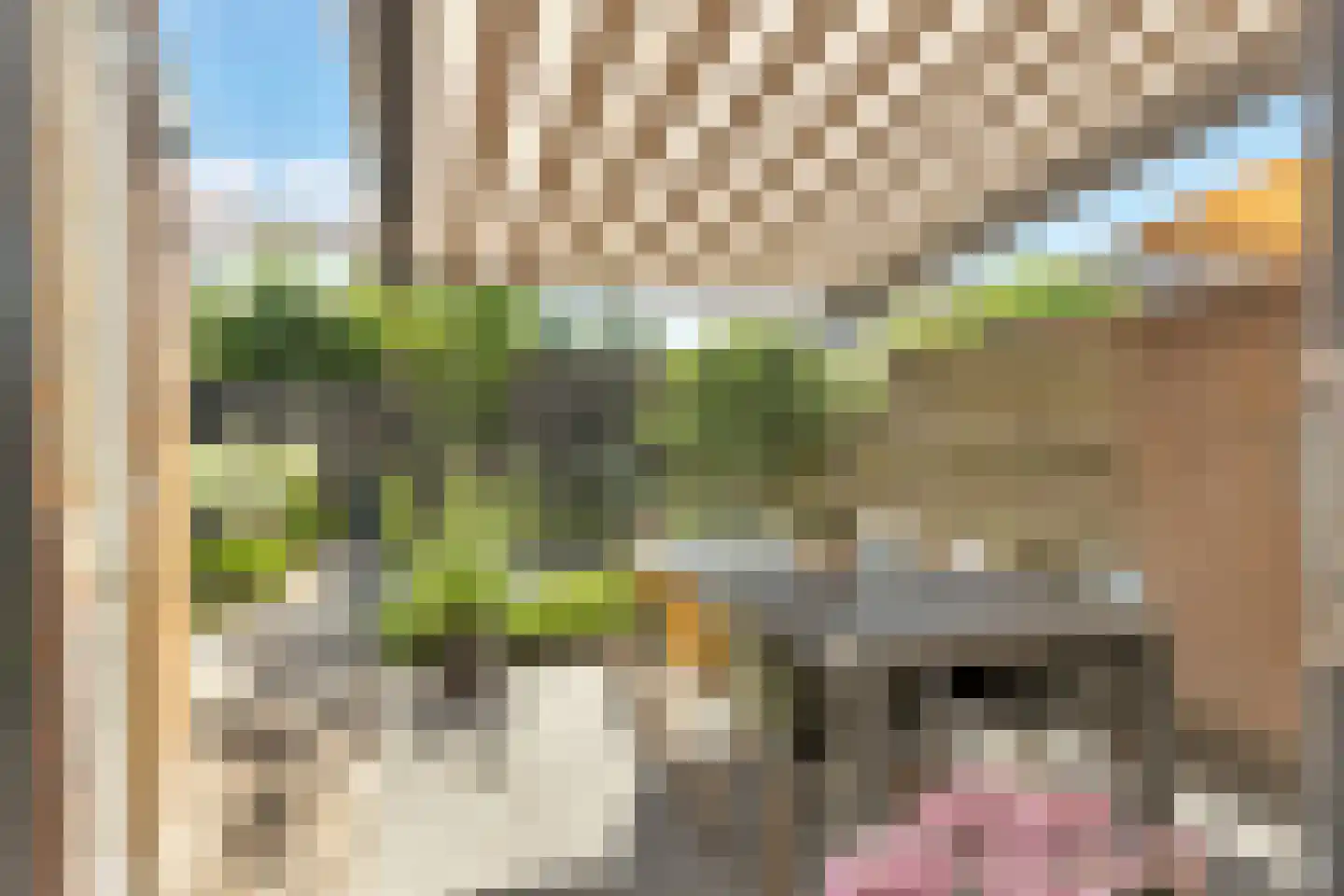 Coelhorsterappelgaarde 38 Amersfoort thumbnail 33