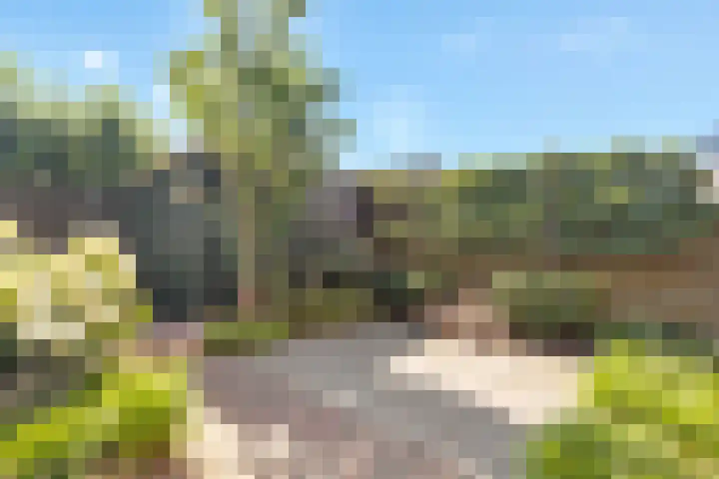 Coelhorsterappelgaarde 38 Amersfoort thumbnail 35