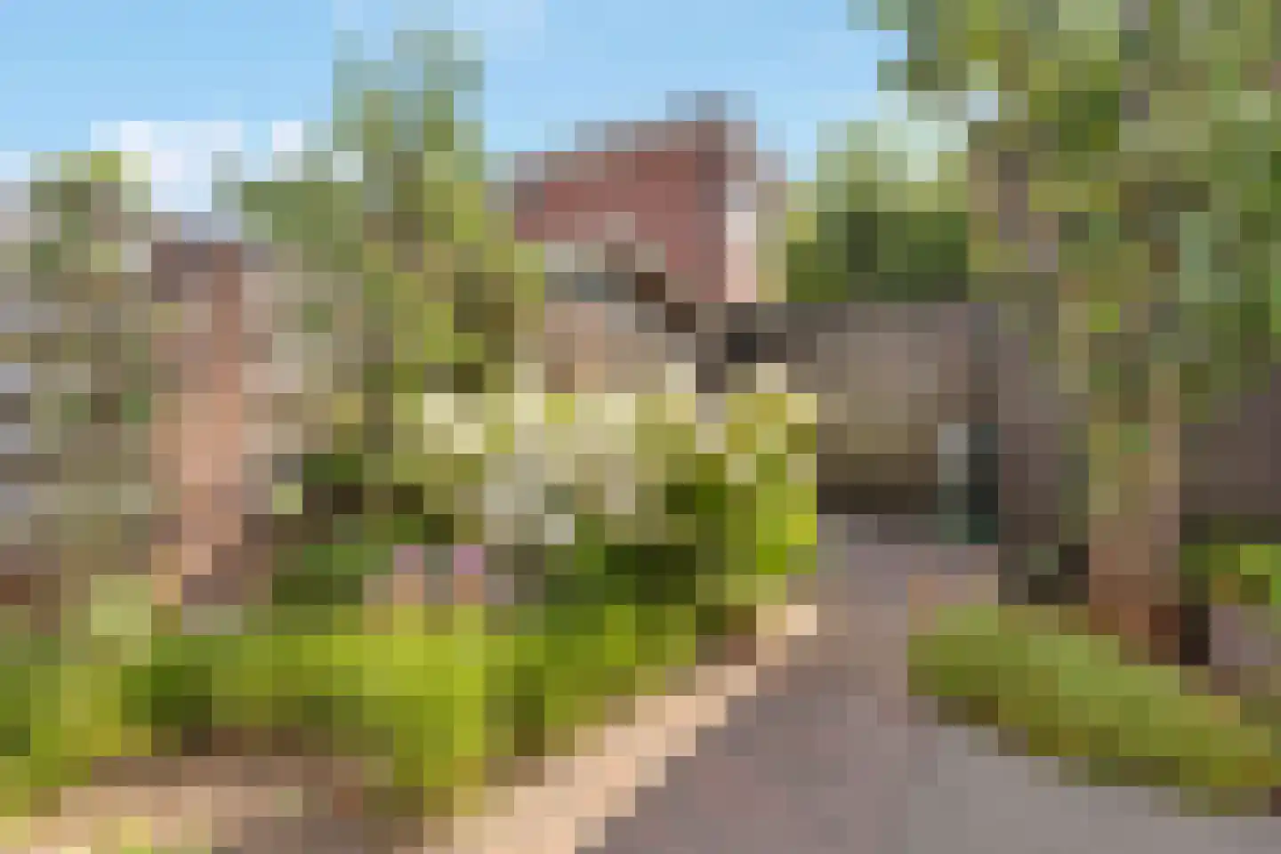 Coelhorsterappelgaarde 38 Amersfoort thumbnail 37