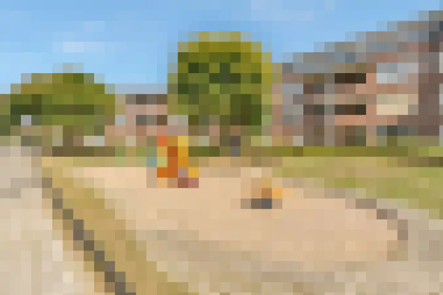 Coelhorsterappelgaarde 38 Amersfoort thumbnail 39
