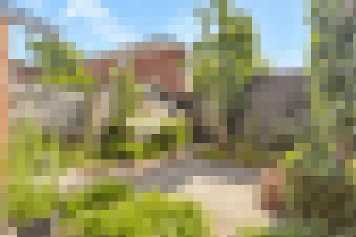 Coelhorsterappelgaarde 38 Amersfoort thumbnail 5