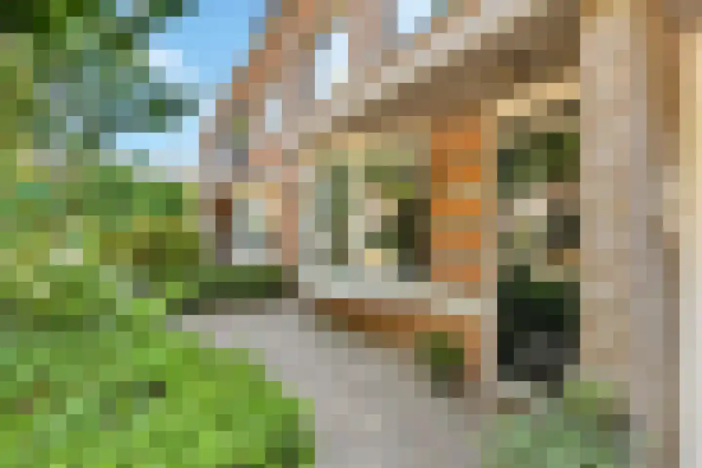 Coelhorsterappelgaarde 38 Amersfoort thumbnail 6
