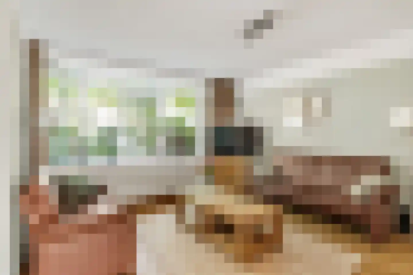 Coelhorsterappelgaarde 38 Amersfoort thumbnail 9