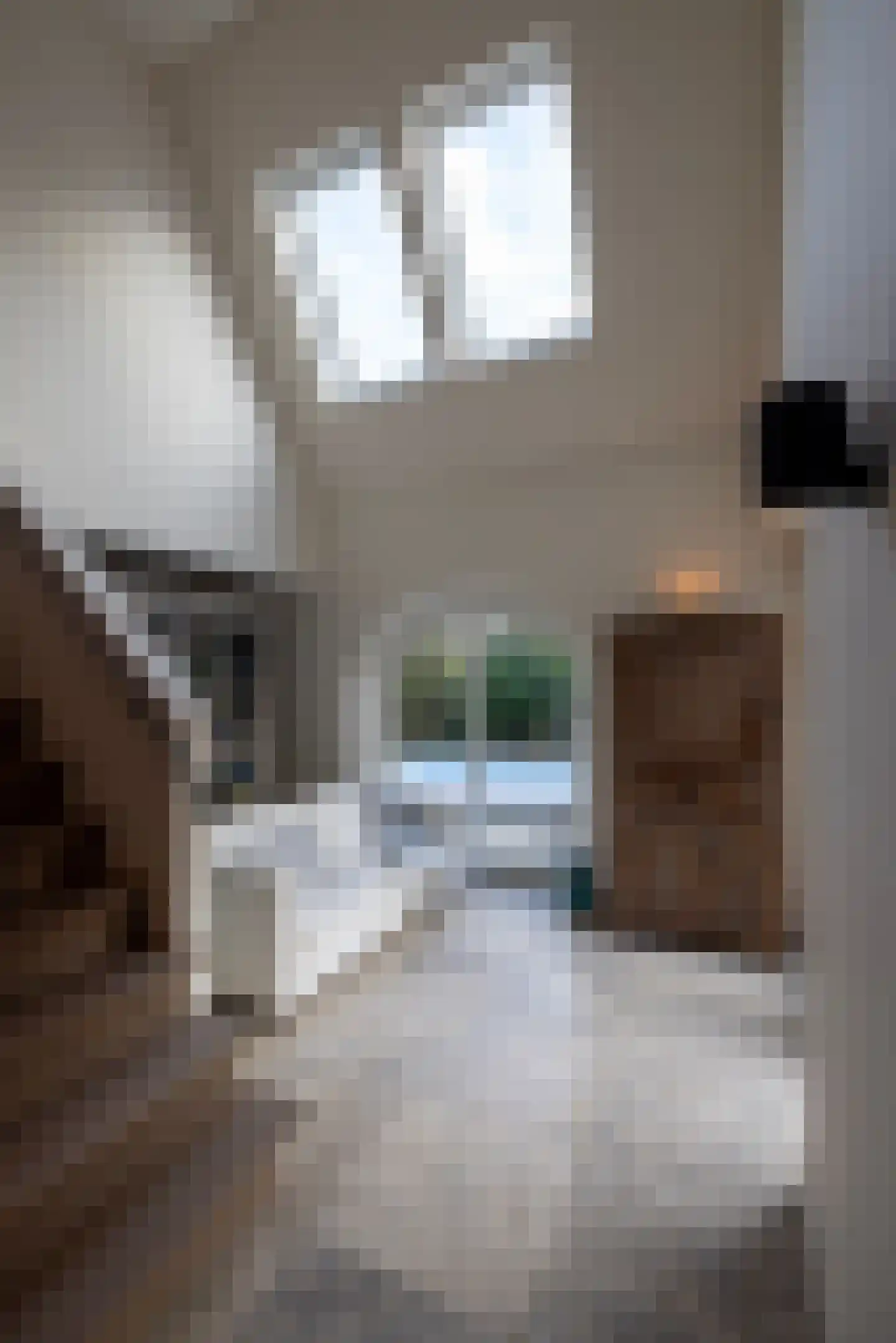 Coelhorsterweg 23 Hoogland thumbnail 16
