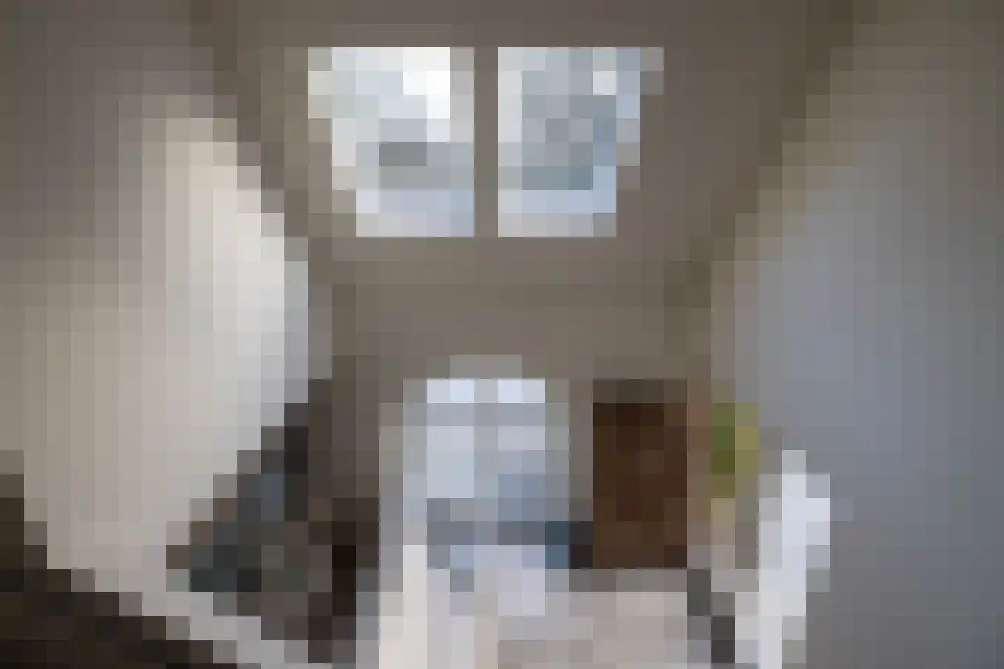 Coelhorsterweg 23 Hoogland thumbnail 30