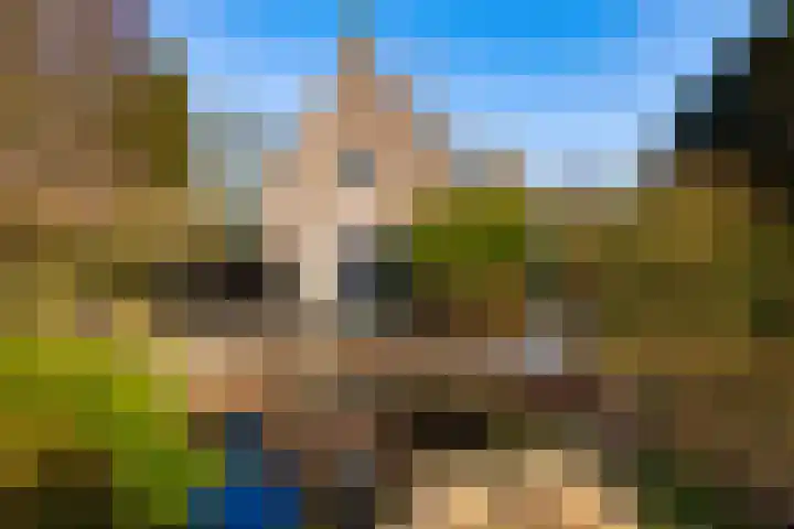 Coelhorsterweg 23 Hoogland thumbnail 48