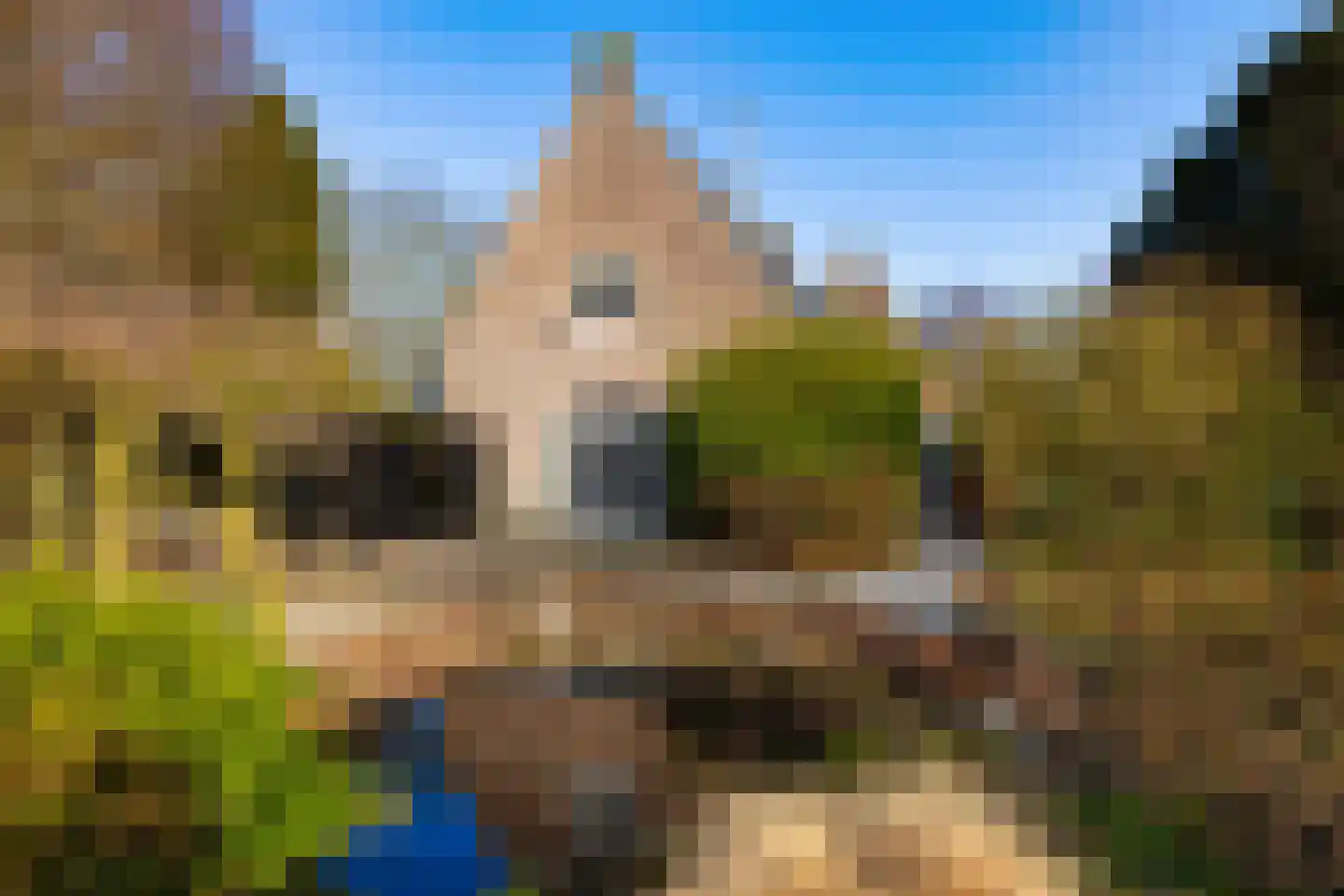 Coelhorsterweg 23 Hoogland thumbnail 48