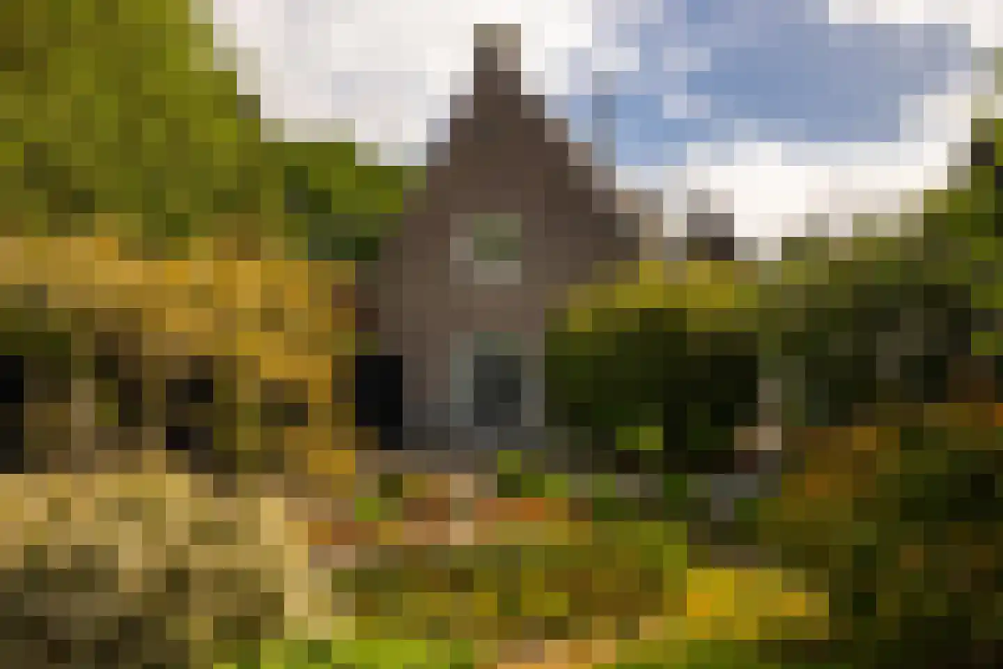 Coelhorsterweg 23 Hoogland thumbnail 49