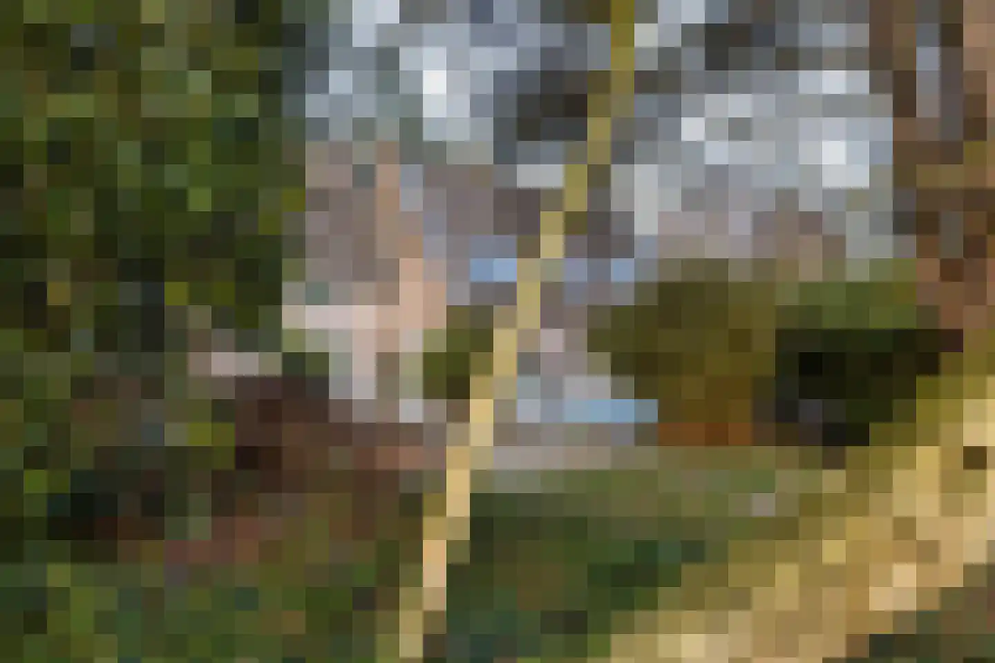 Coelhorsterweg 23 Hoogland thumbnail 49