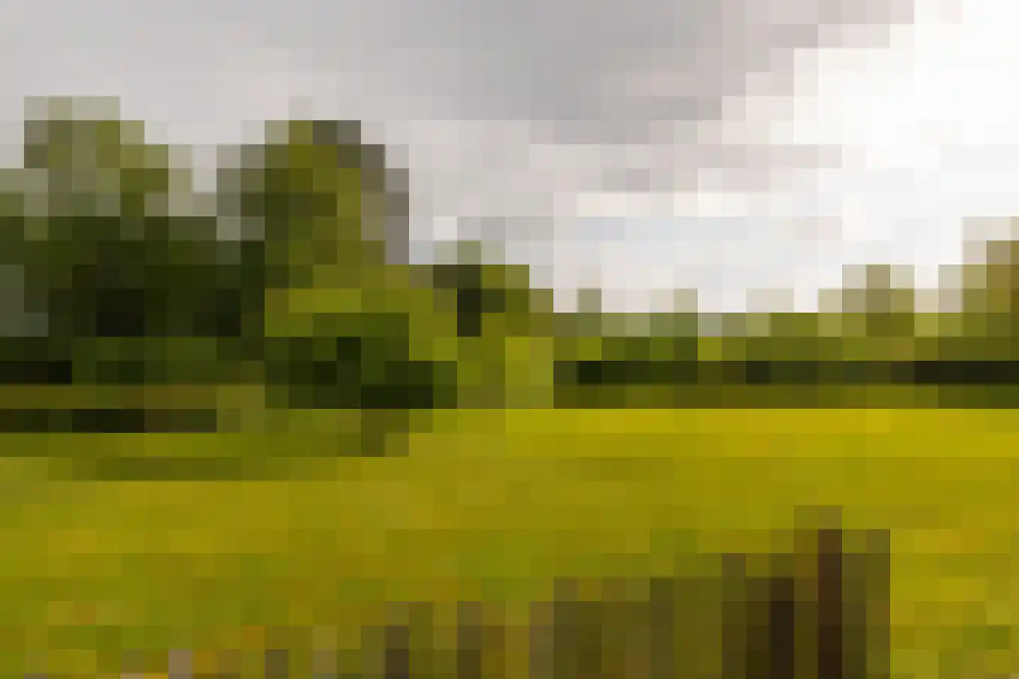 Coelhorsterweg 23 Hoogland thumbnail 50