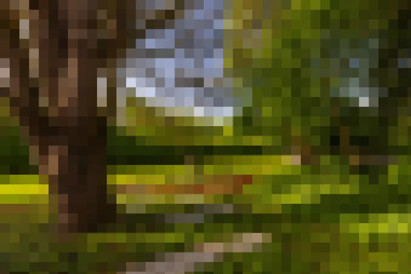 Coelhorsterweg 23 Hoogland thumbnail 51