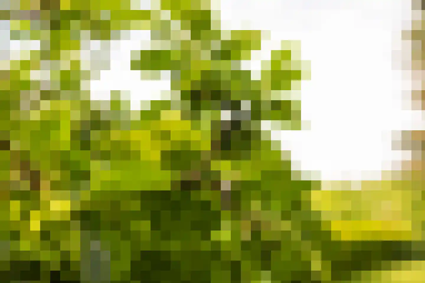 Coelhorsterweg 23 Hoogland thumbnail 52