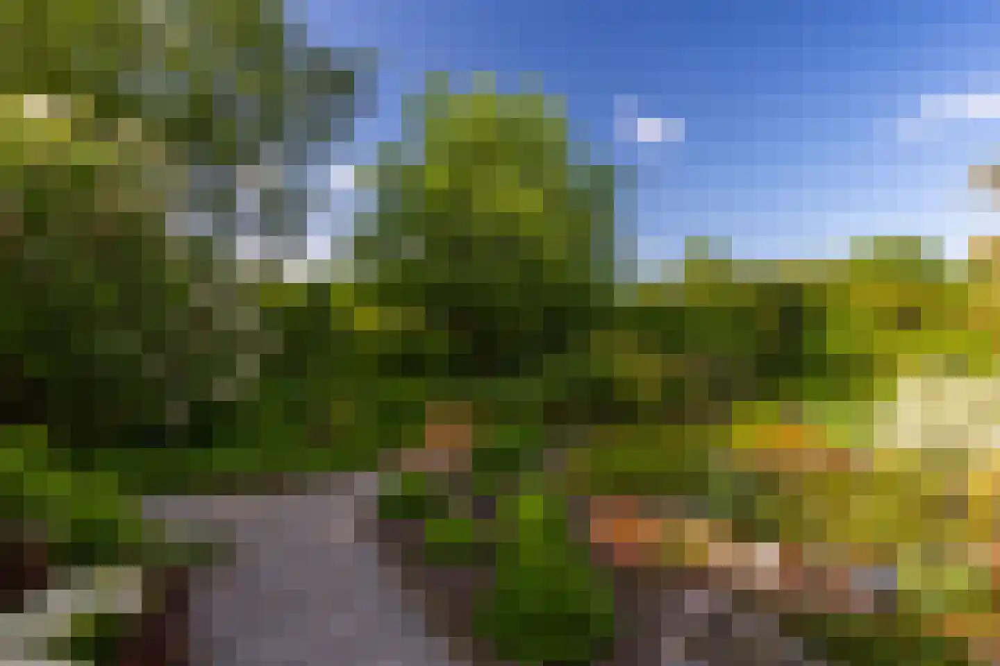 Coelhorsterweg 23 Hoogland thumbnail 54