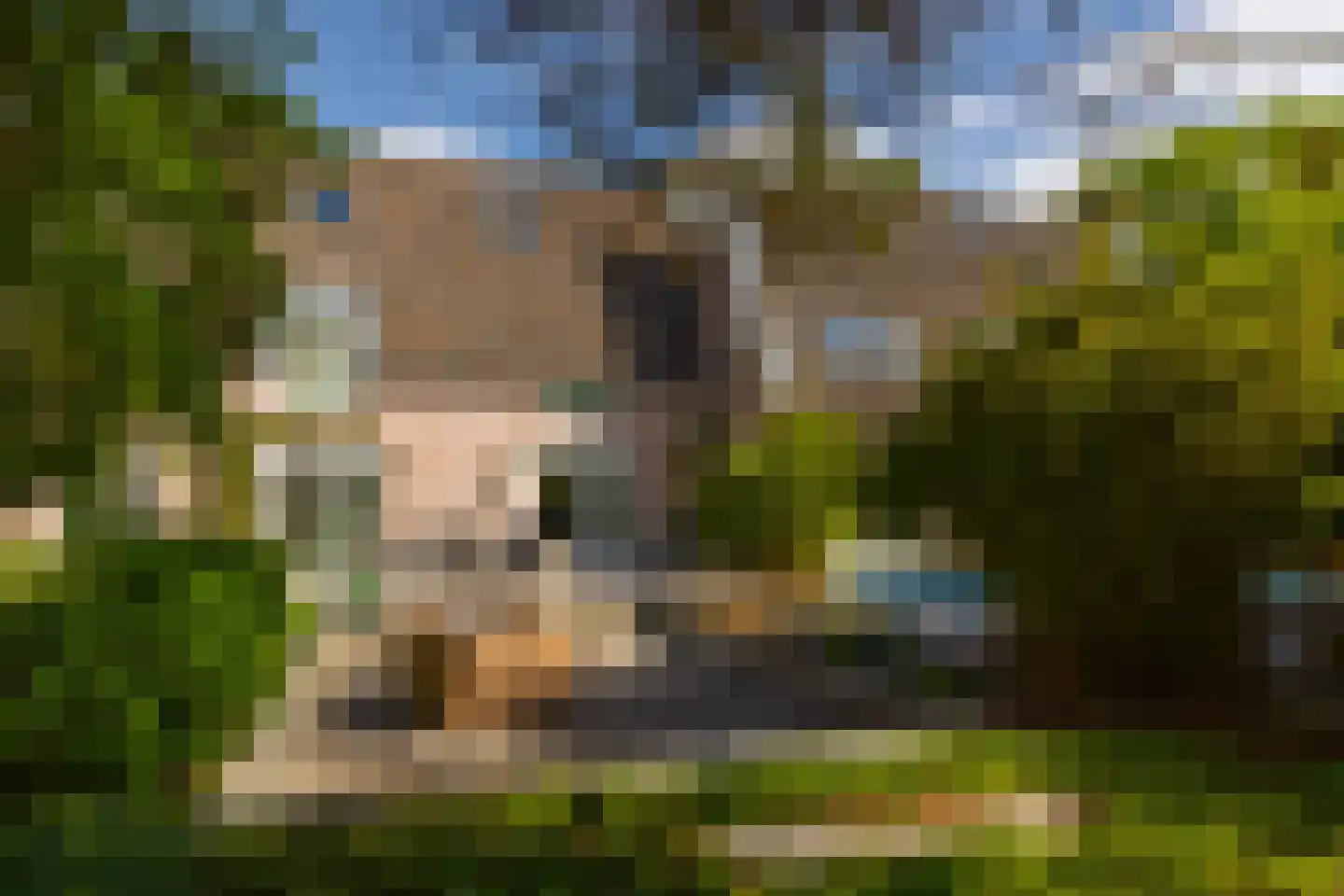 Coelhorsterweg 23 Hoogland thumbnail 55