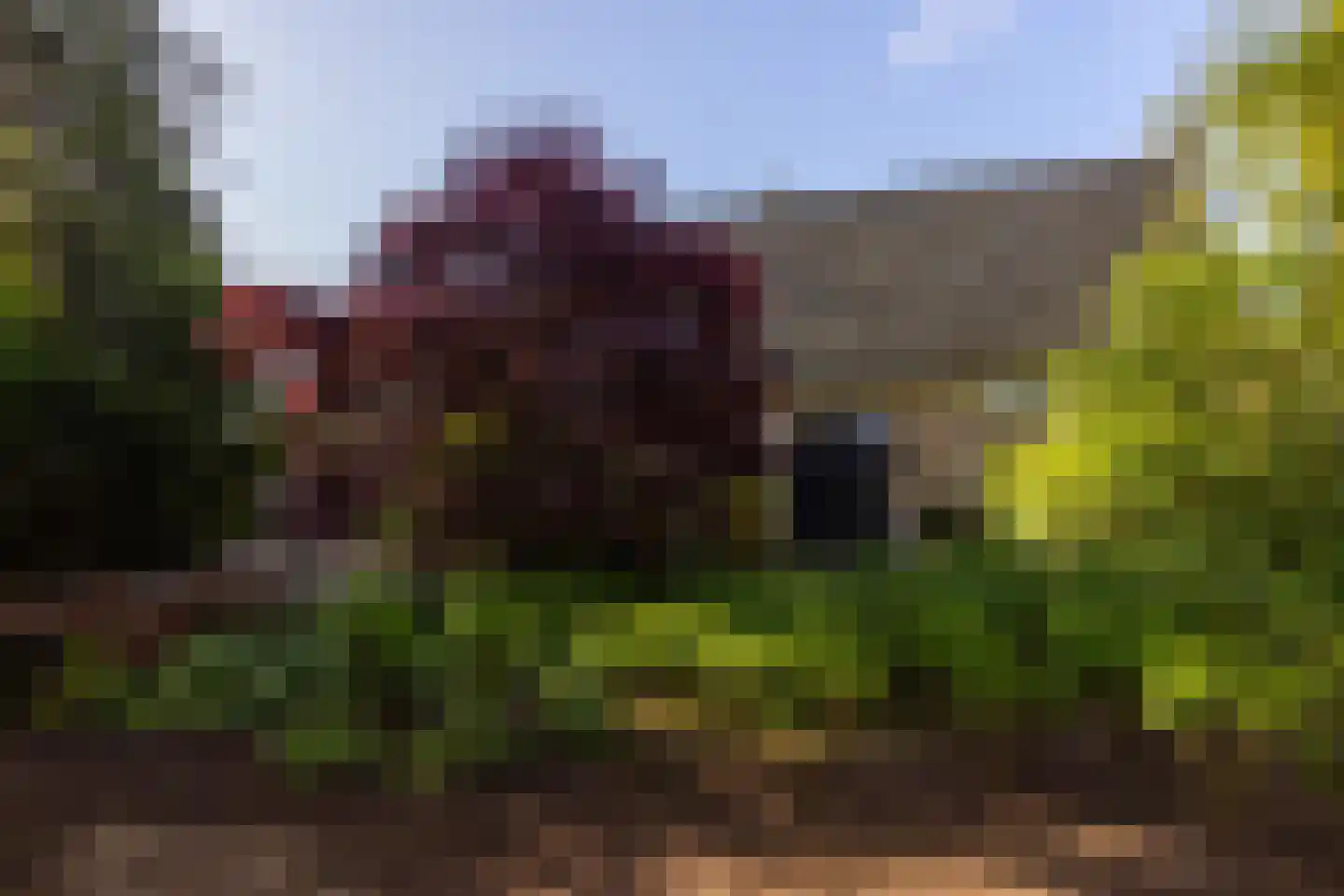Coelhorsterweg 23 Hoogland thumbnail 59