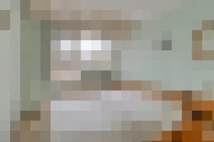 Coen Botrede 10 Capelle aan den IJssel thumbnail 11