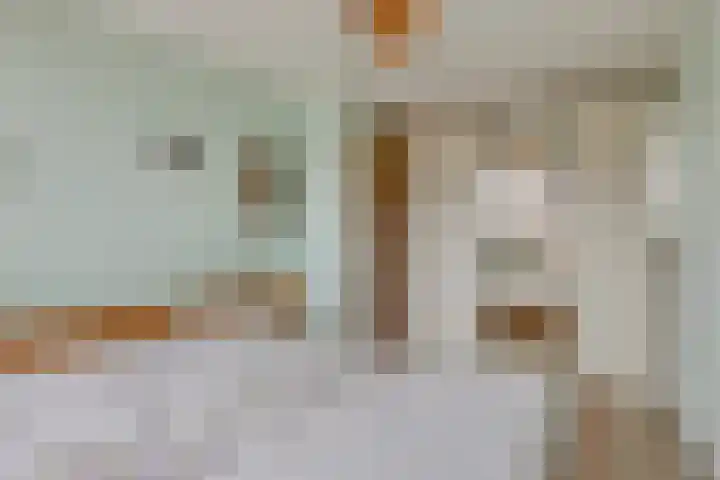 Coen Botrede 10 Capelle aan den IJssel thumbnail 12