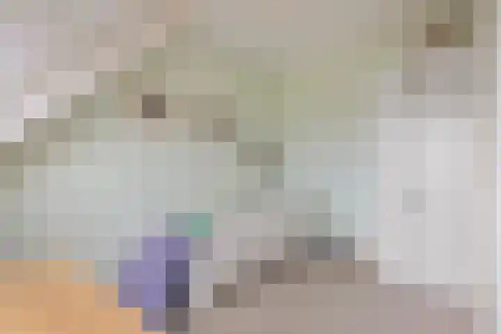 Coen Botrede 10 Capelle aan den IJssel thumbnail 17
