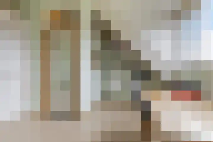 Coen Botrede 10 Capelle aan den IJssel thumbnail 18
