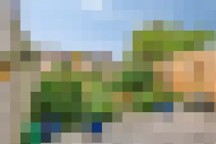 Coen Botrede 10 Capelle aan den IJssel thumbnail 19