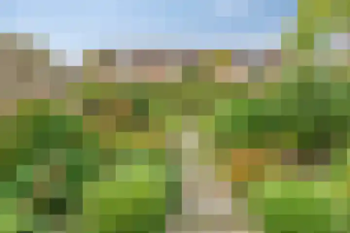 Coen Botrede 10 Capelle aan den IJssel thumbnail 20