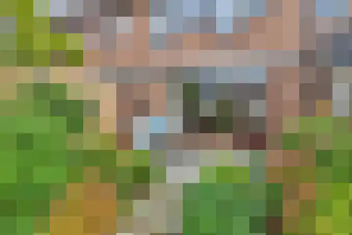 Coen Botrede 10 Capelle aan den IJssel thumbnail 21