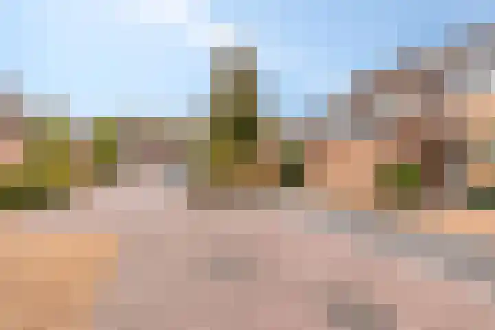 Coen Botrede 10 Capelle aan den IJssel thumbnail 22