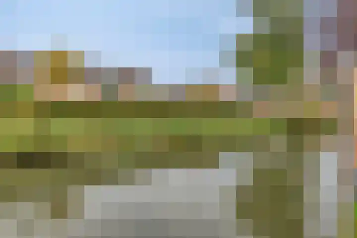 Coen Botrede 10 Capelle aan den IJssel thumbnail 23