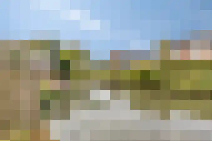 Coen Botrede 10 Capelle aan den IJssel thumbnail 24