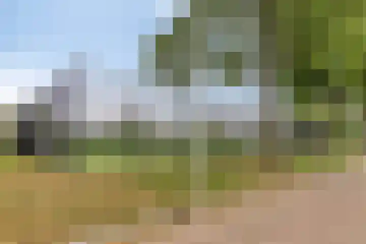 Coen Botrede 10 Capelle aan den IJssel thumbnail 27