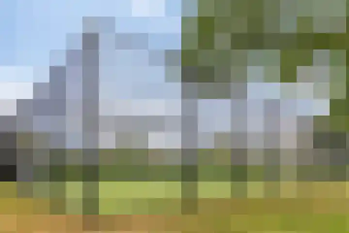 Coen Botrede 10 Capelle aan den IJssel thumbnail 28