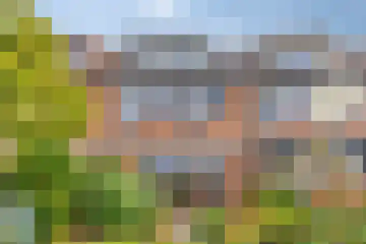 Coen Botrede 10 Capelle aan den IJssel foto 3