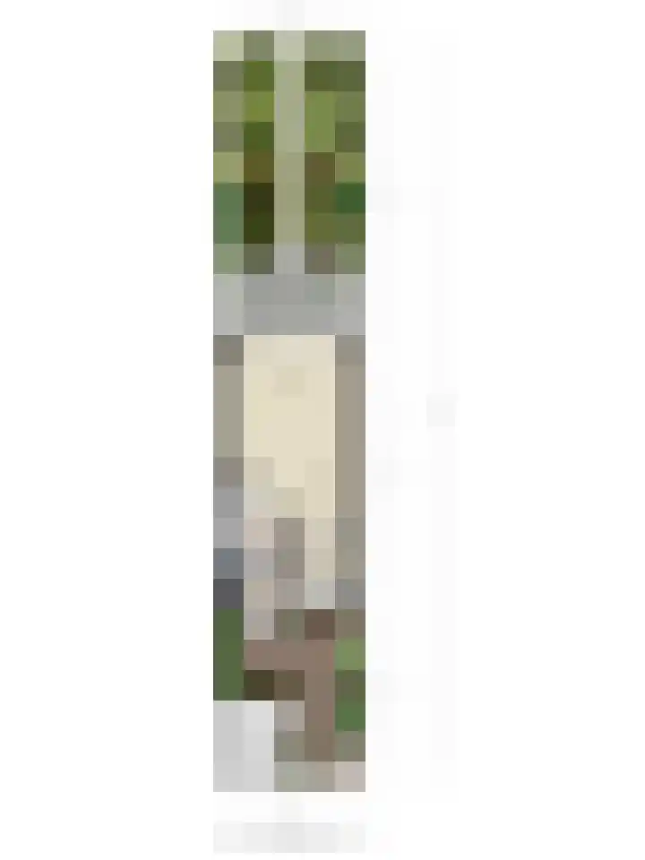 Coen Botrede 10 Capelle aan den IJssel thumbnail 30