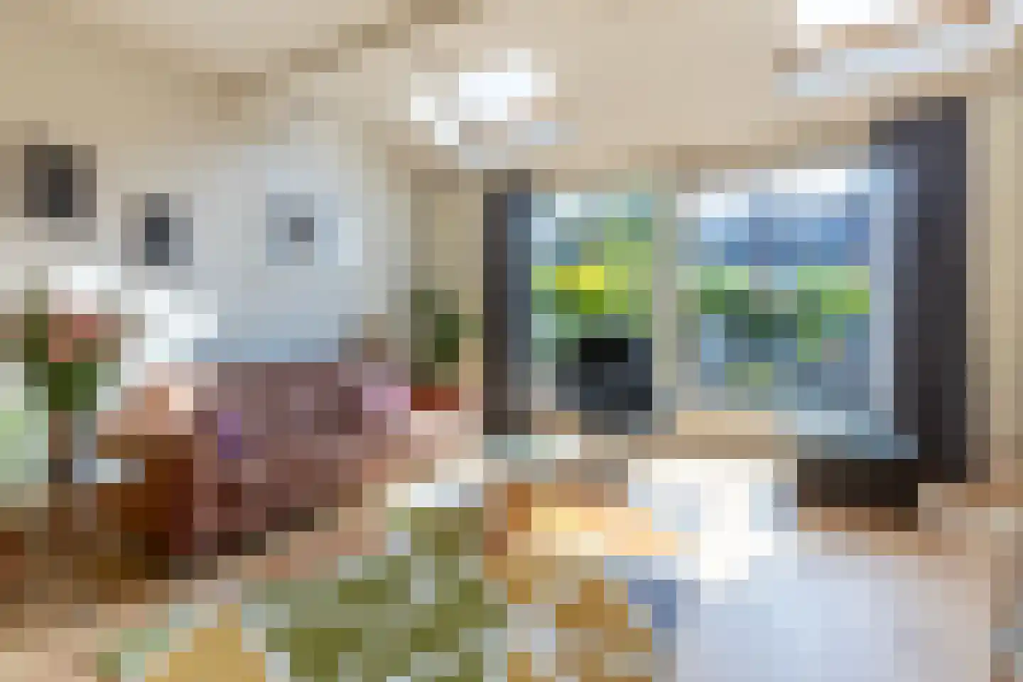 Coen Botrede 13 Capelle aan den IJssel thumbnail 16