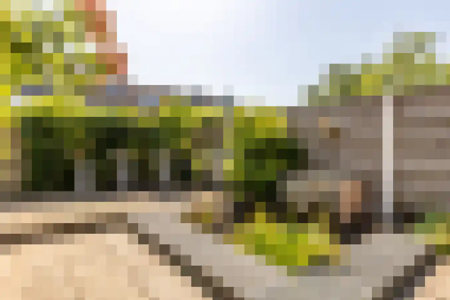 Coen Botrede 13 Capelle aan den IJssel thumbnail 19