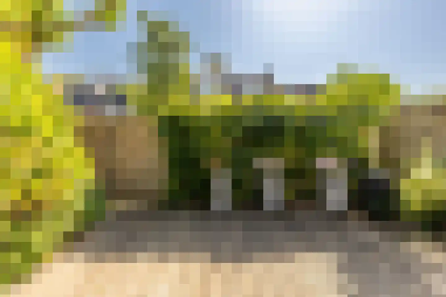 Coen Botrede 13 Capelle aan den IJssel thumbnail 21