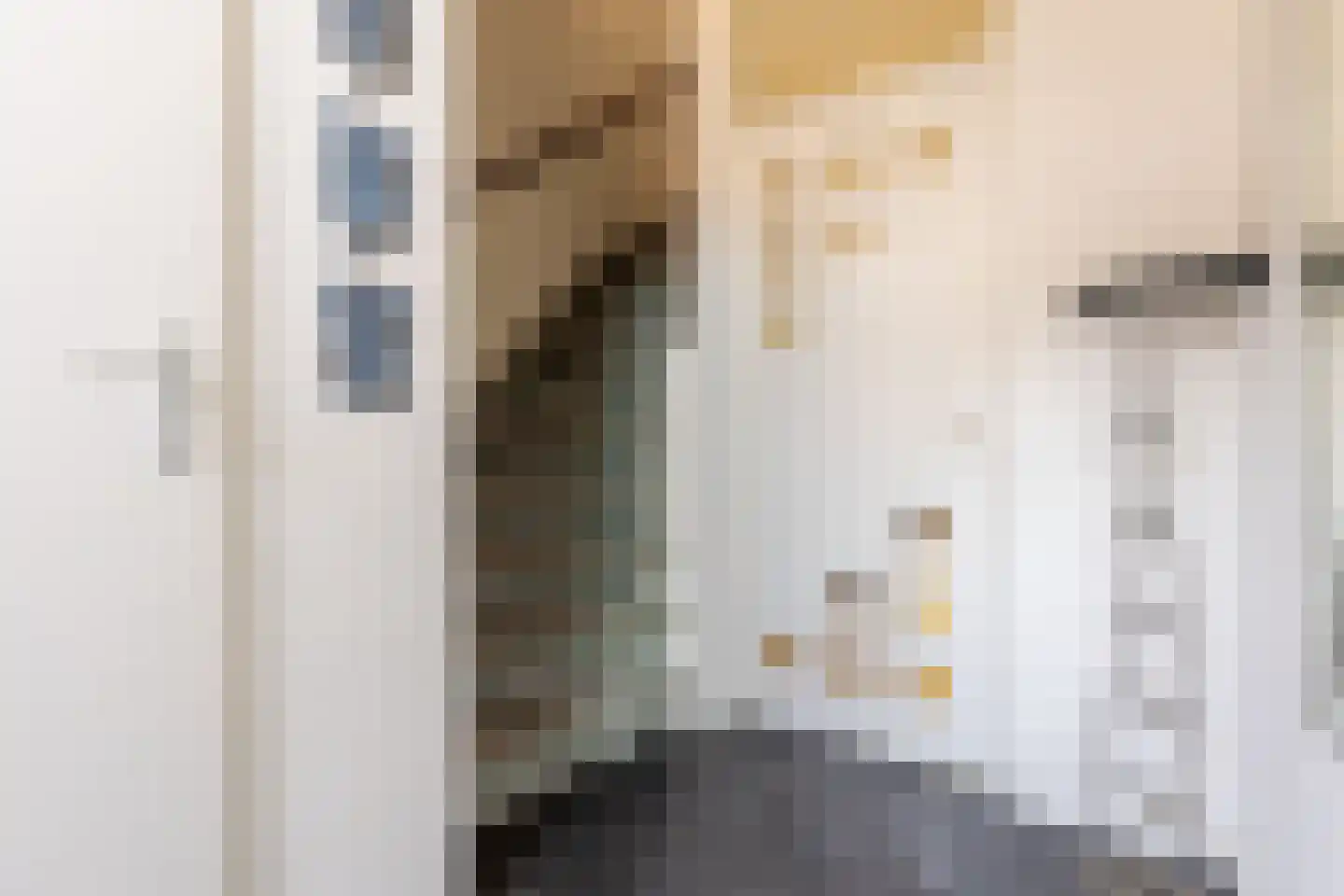 Coen Botrede 13 Capelle aan den IJssel thumbnail 27