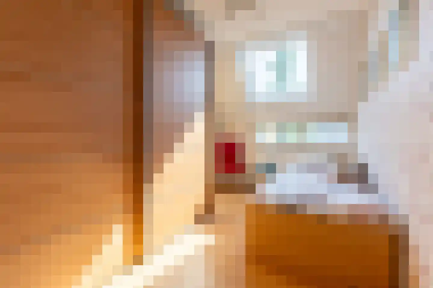 Coen Botrede 13 Capelle aan den IJssel thumbnail 32