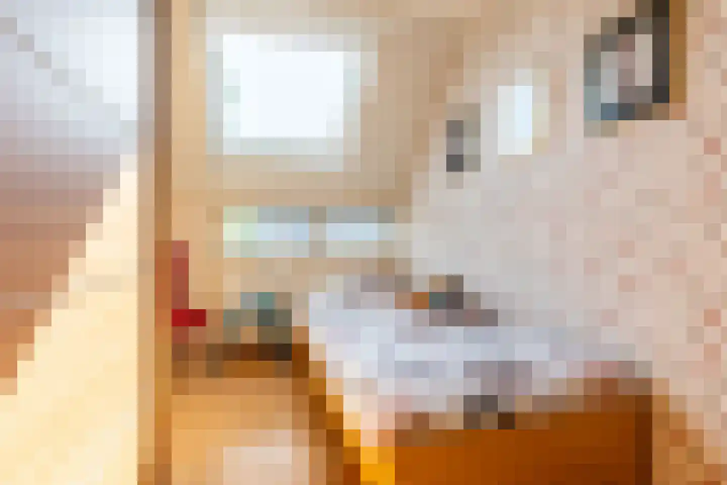 Coen Botrede 13 Capelle aan den IJssel thumbnail 33