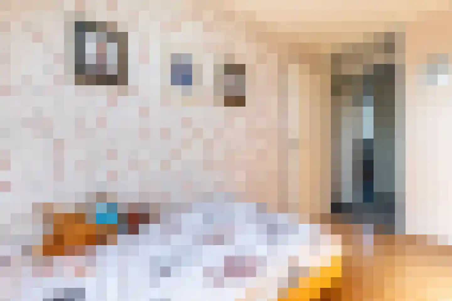 Coen Botrede 13 Capelle aan den IJssel thumbnail 34