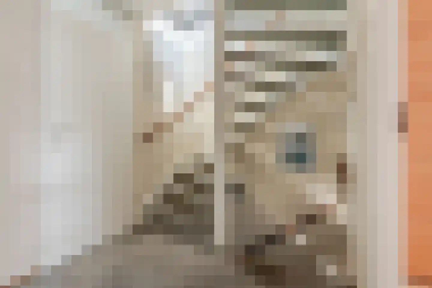 Coen Botrede 13 Capelle aan den IJssel thumbnail 38